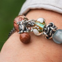 Trollbeads Cammino fedele